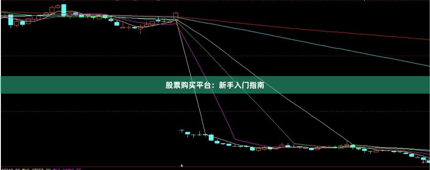 股票购买平台：新手入门指南